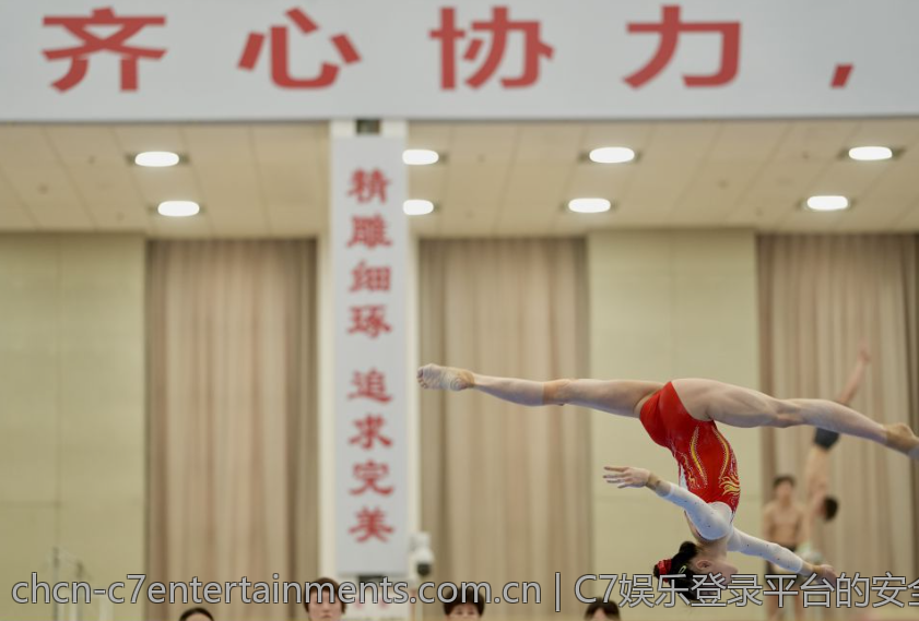 C7娱乐登录平台的安全性与隐私保护