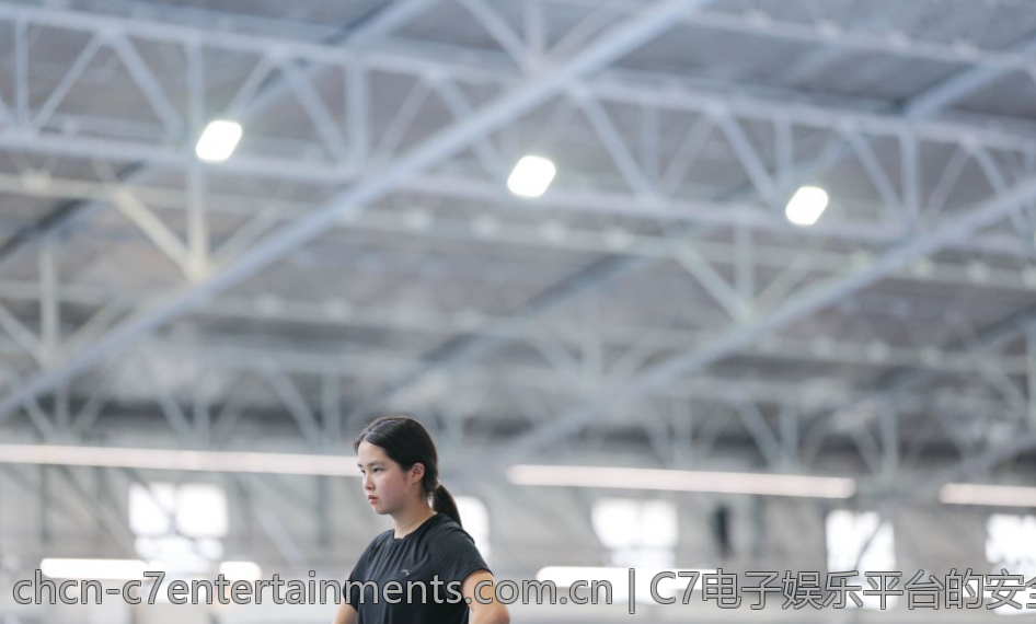 C7电子娱乐平台的安全性与合法性探讨